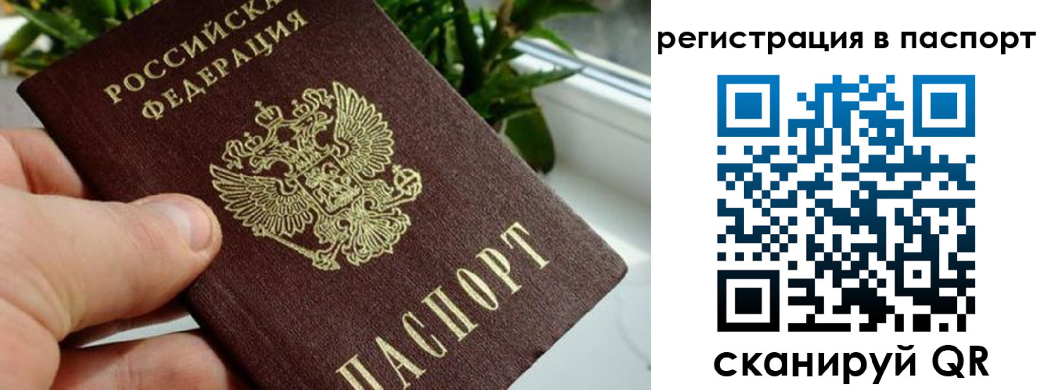 прописка ребенка в Новосибирске